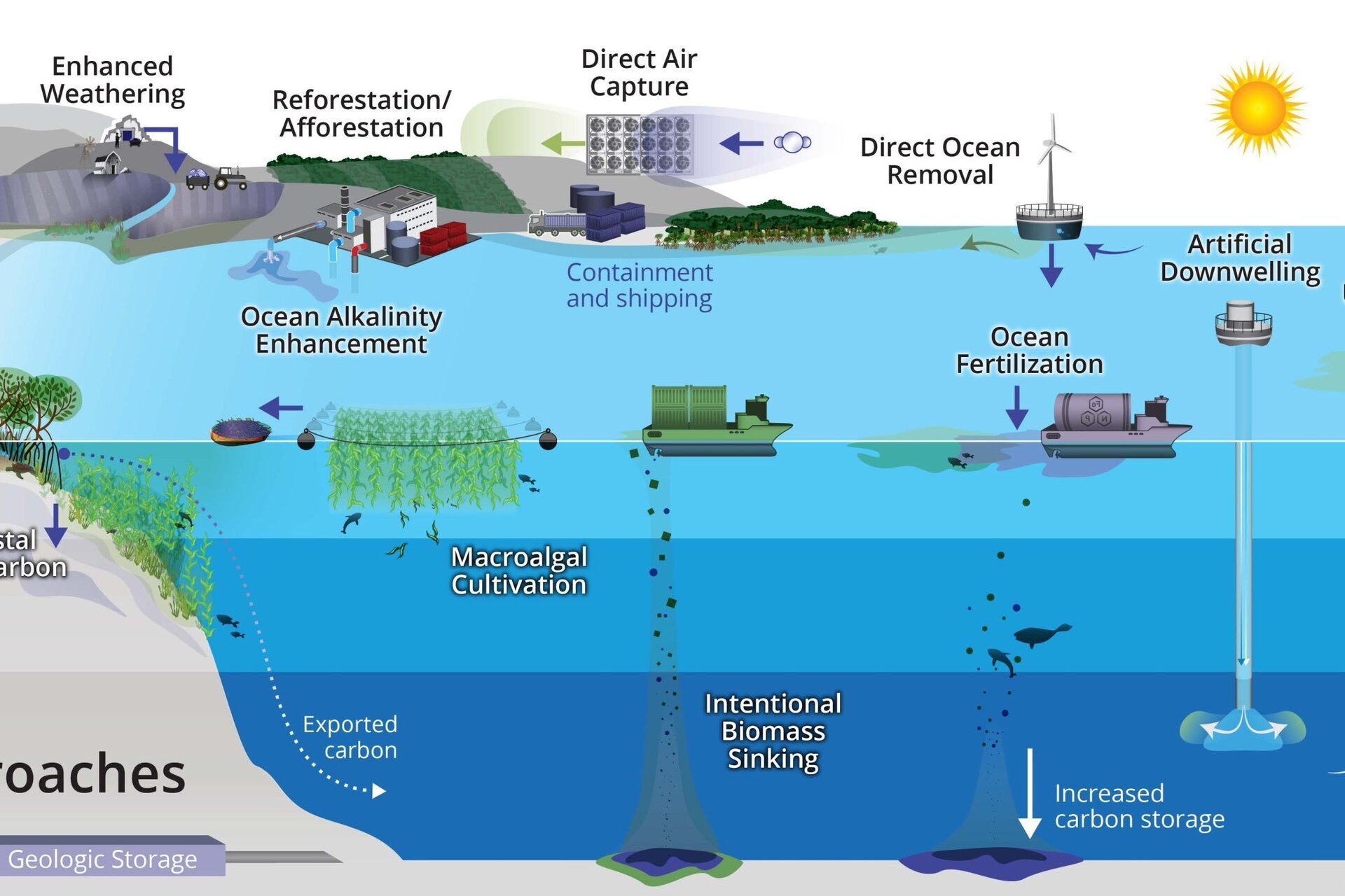 CDR approaches include: enhanced weathering, reforestation/afforestation, direct air capture, direct ocean removal, ocean fertilization, artificial downwelling and upwelling, intentional biomass sinking, macroalgal cultivation, ocean alkalinity enhancement, coastal blue carbon, and biochar.