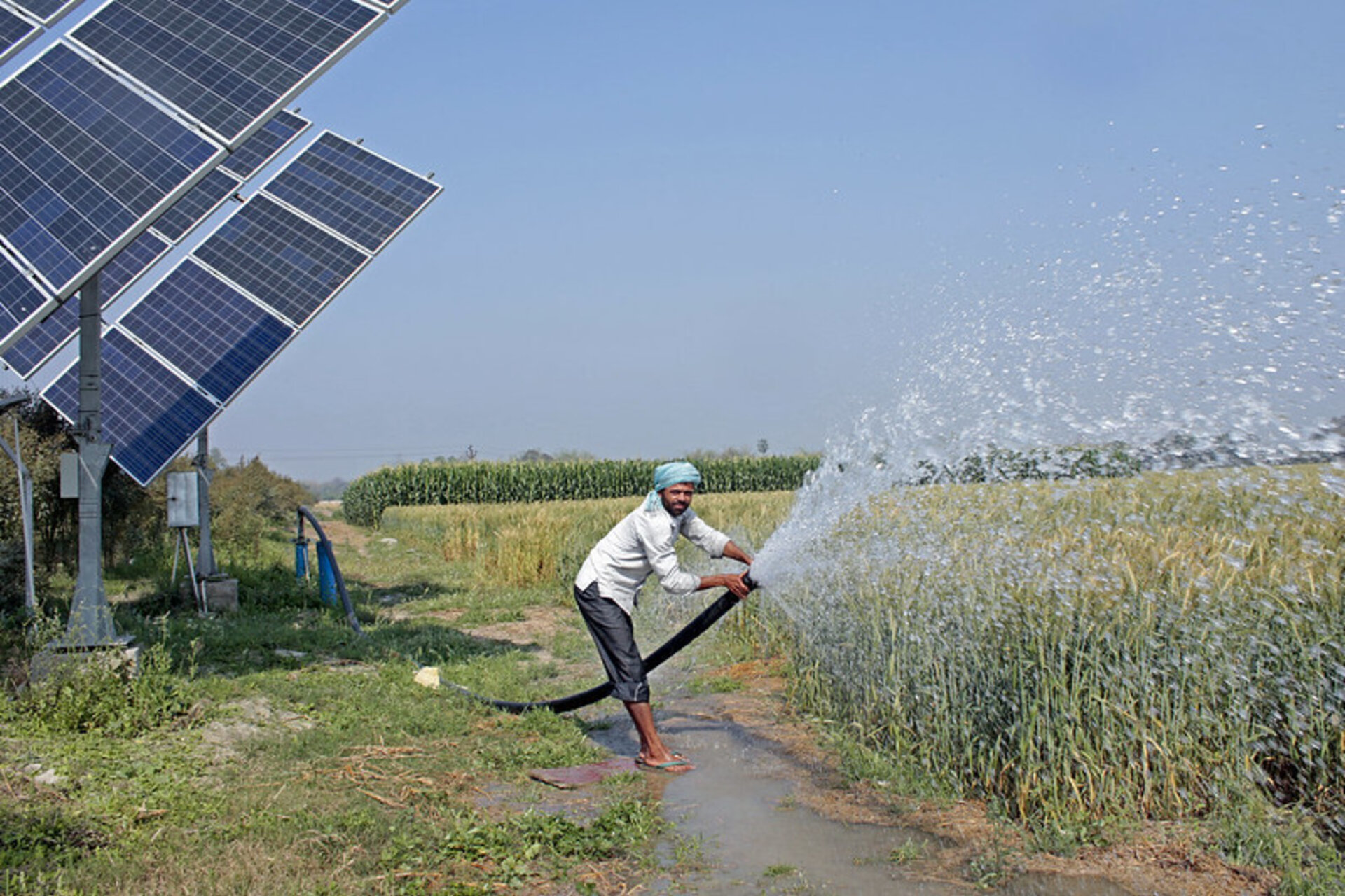 Solar Powered Irrigation System in BISA Farm, Pusa, Bihar, India
