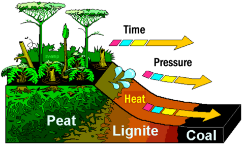 Illustration depicting the transformation of swamp to peat to lignite to coal with time, pressure, and heat