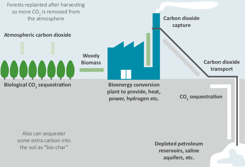Trees in a replanted forest absorb atmospheric CO₂. Woody biomass from the trees fuels a bioenergy conversion plant to provide heat, power, hydrogen, etc. CO₂ emissions from the power plant are captured, transported and sequestered underground in depleted petroleum reservoirs, saline aquifers, etc. or into the soil as "bio-char."