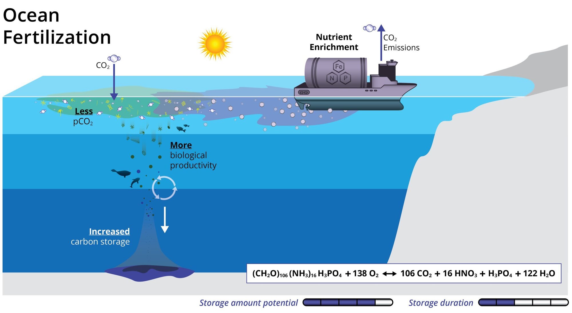 Nutrient enrichment is added to the ocean, stimulating phytoplankton growth to absorb more CO₂ from the atmosphere and leading to more biological productivity, resulting in  increased carbon storage at the bottom of the ocean.