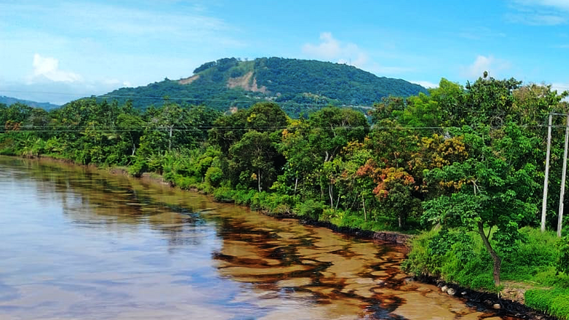Black ripples of oil in the water of one of the three Ecuadorian rivers affected by the Trans-Ecuadorian Oil Pipeline spill in March 2025.