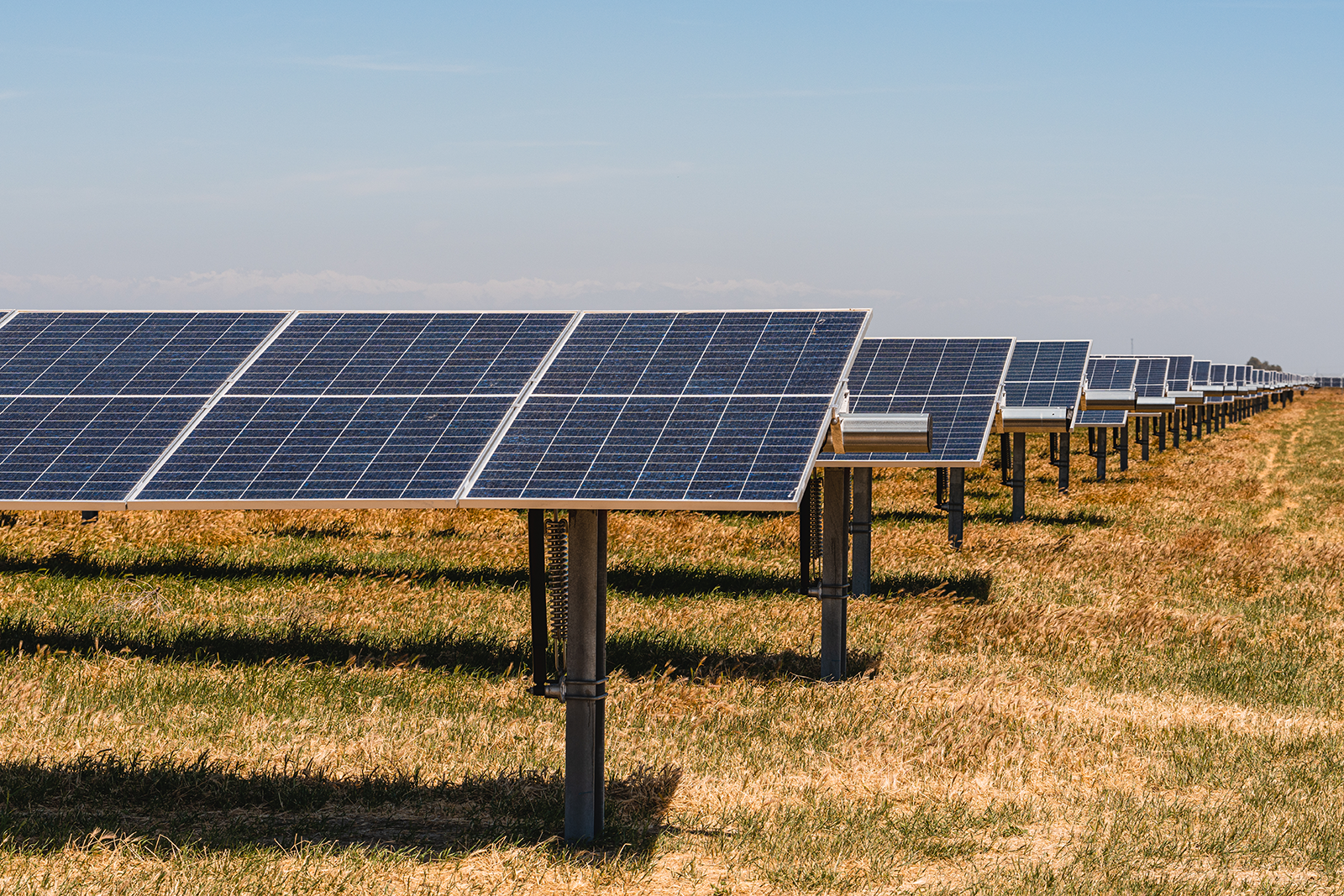 Rows of solar panels in a field