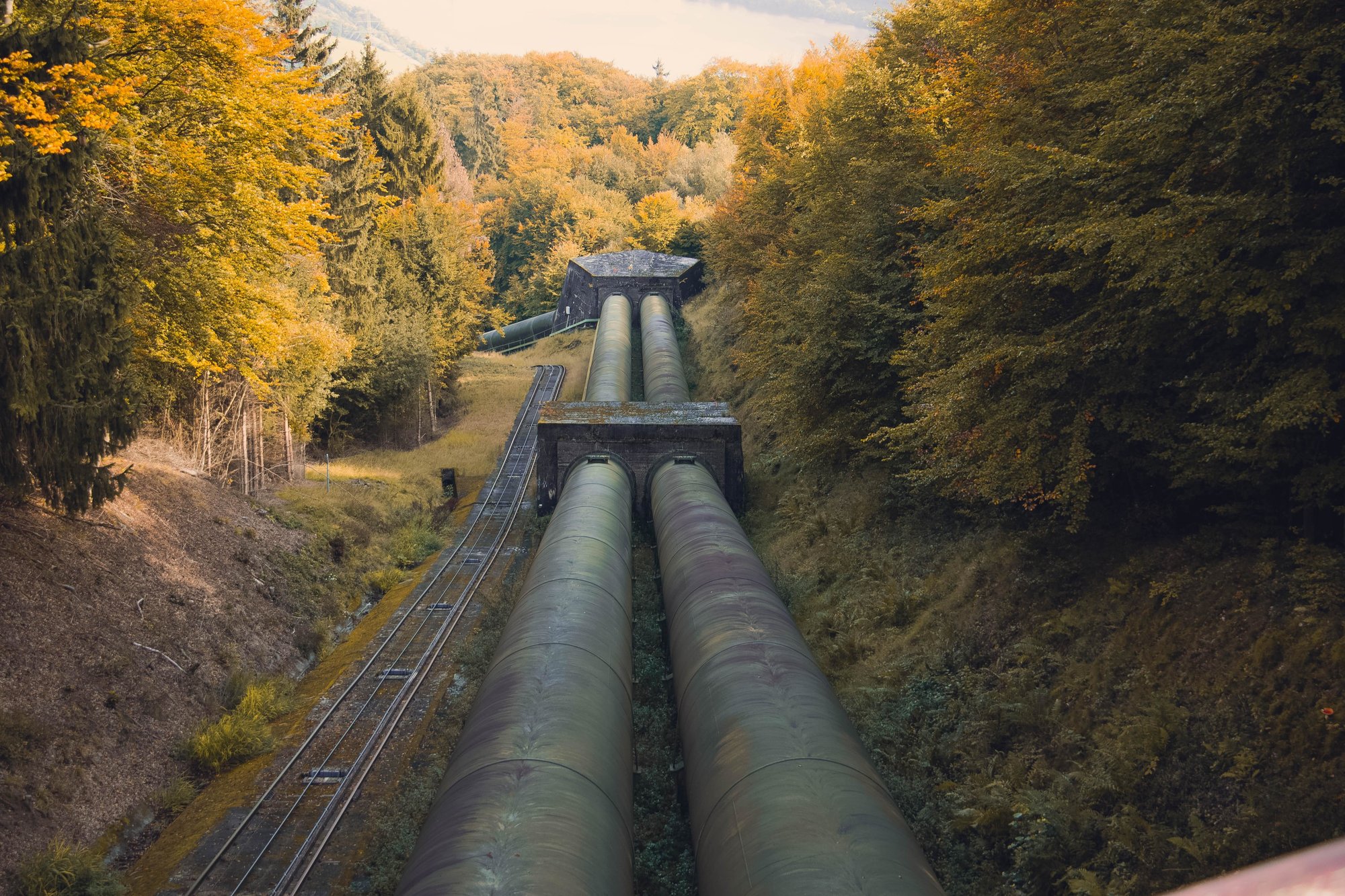 natural gas pipeline in wooded area