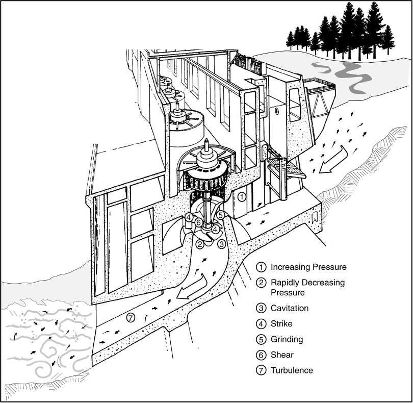 Illustration of fish going through a turbine and the many potential impacts they may experience including increasing pressure, rapidly decreasing pressure, cavitation, strike, grinding, shear, and turbulence.
