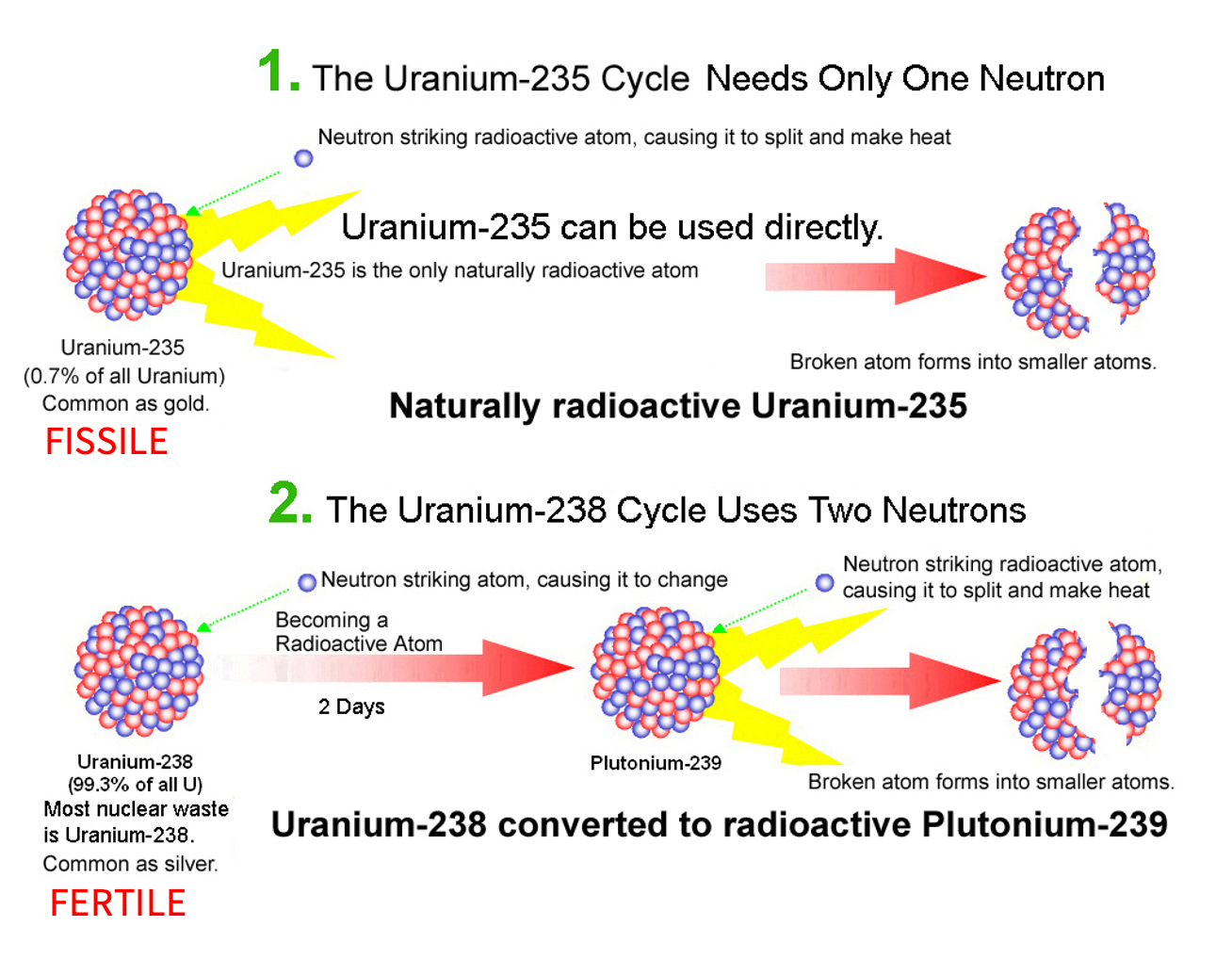 Diagram comparing two nuclear fuel cycles: Uranium-235, which is fissile and used directly with one neutron, and Uranium-238, which is fertile and requires conversion to Plutonium-239 using two neutrons.