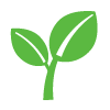 Green leaves